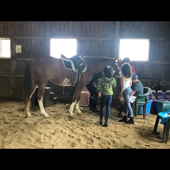 Meet your Posher, Gail - Picture 5 of 14